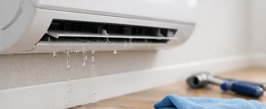 Why Is My Mini Split Leaking?